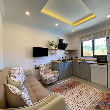 Remarkable With Jacuzzi, Private Pool And Backyard In Fethiye Villa *