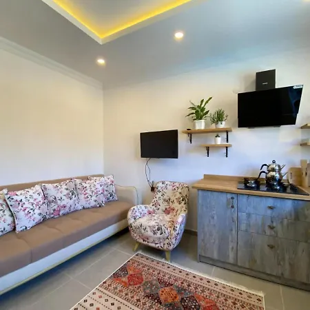 Remarkable With Jacuzzi, Private Pool And Backyard In Fethiye Villa *