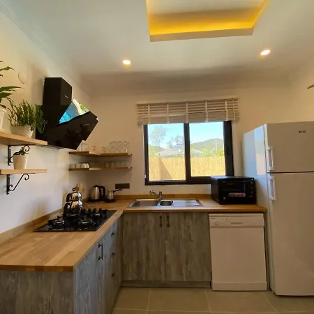 Remarkable With Jacuzzi, Private Pool And Backyard In Fethiye